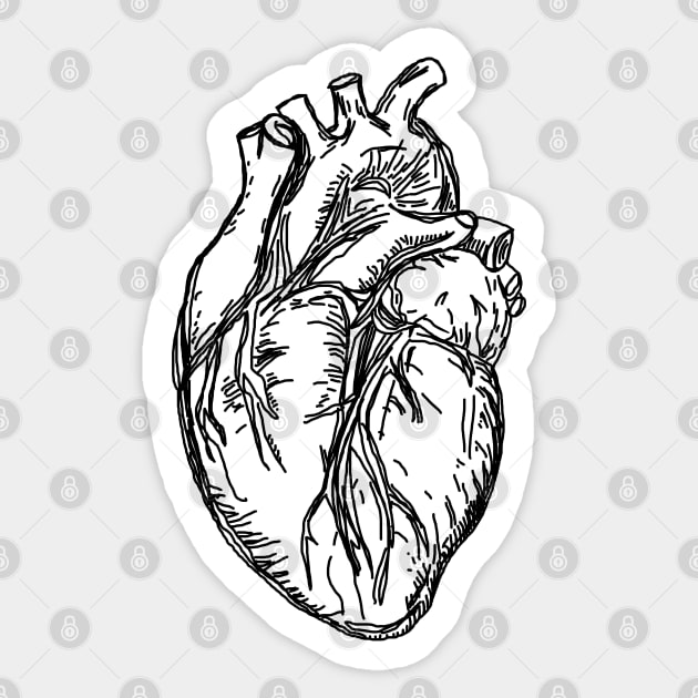 Realistic Heart- Sketch- Heart Sticker by Vtheartist